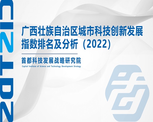 操操操美女操大鸡巴【成果发布】广西壮族自治区城市科技创新发展指数排名及分析（2022）